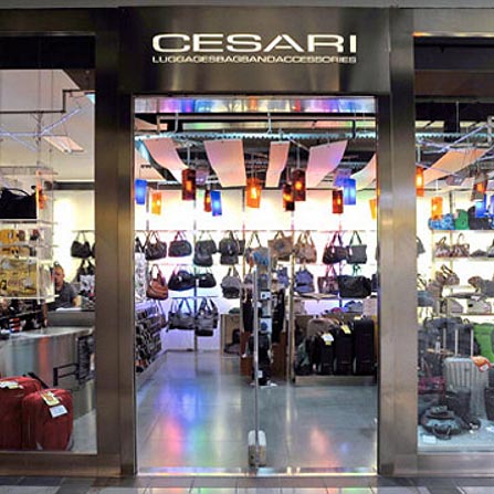 Cesari Luggages Bags & Accesories