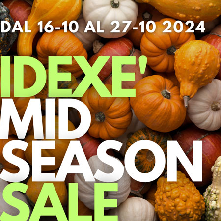 🎃 Sconti da PAURA da IDEXE'! 🎃